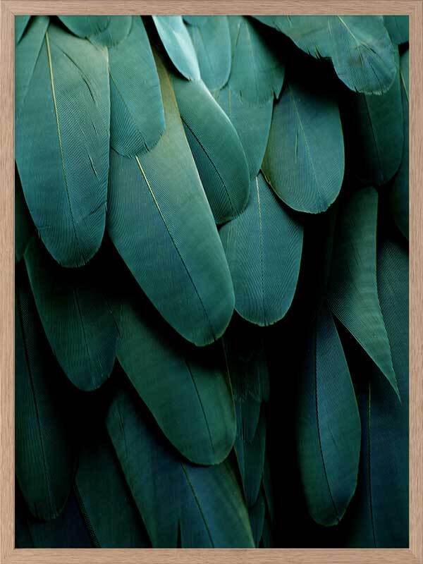 Green Jay Framed Art Print