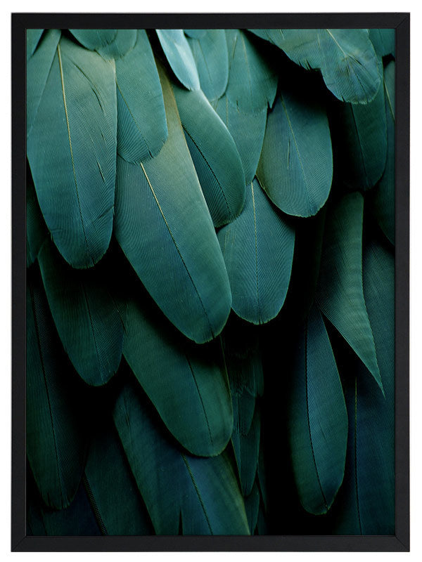 Green Jay Framed Art Print