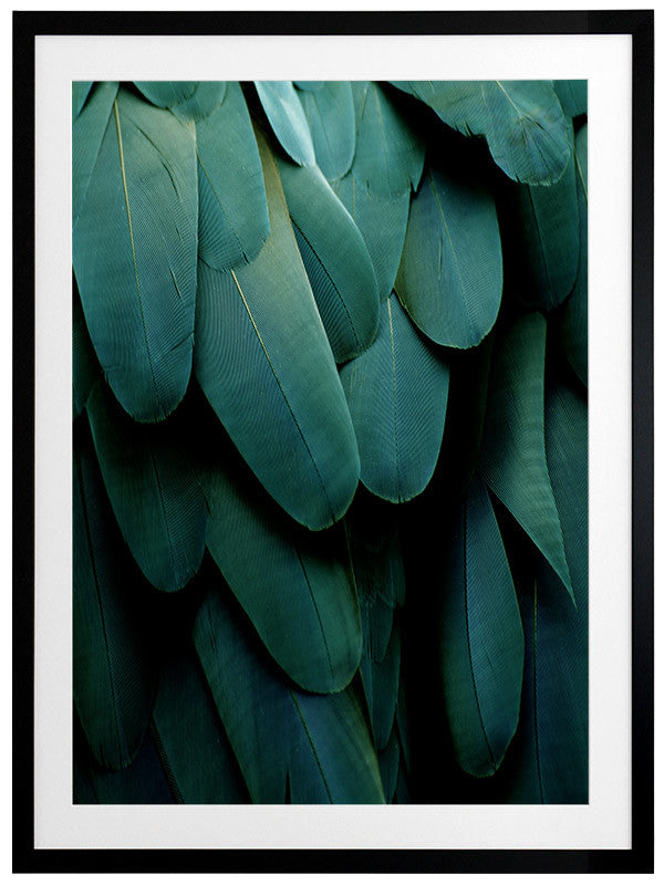 Green Jay Framed Art Print