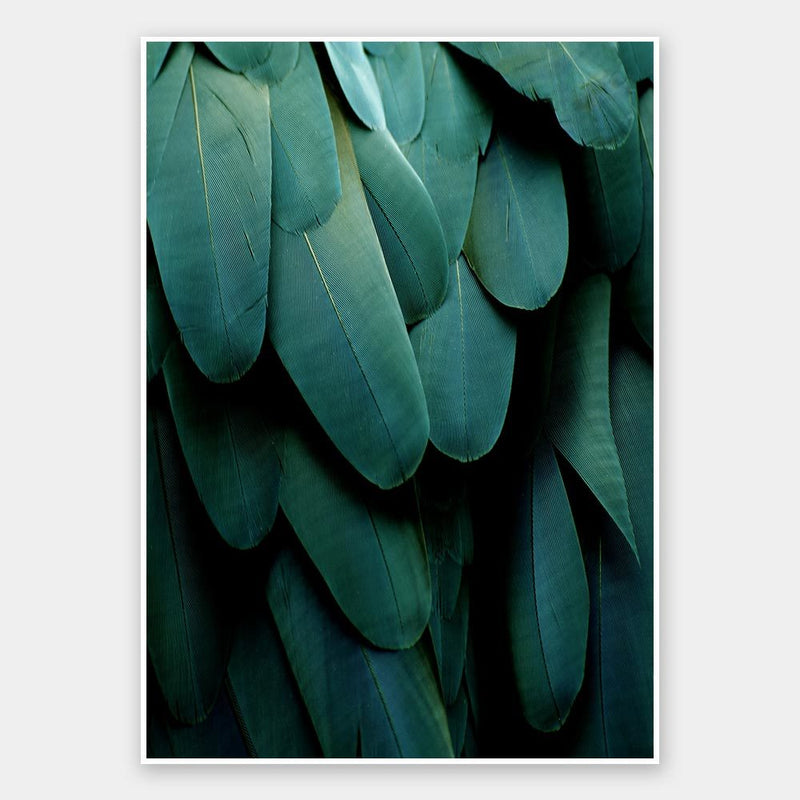 Green Jay Unframed Art Print