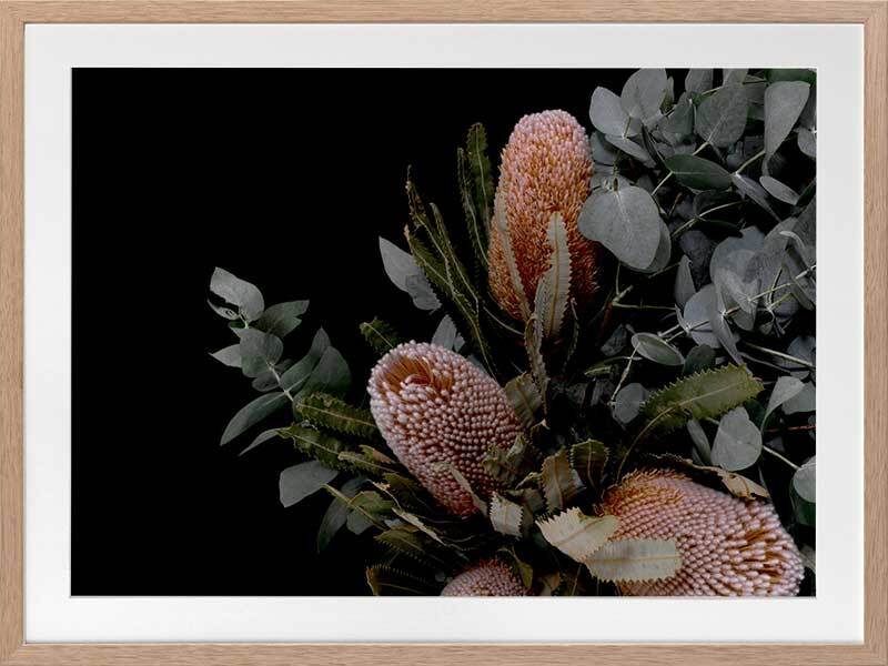 Botany Framed Art Print