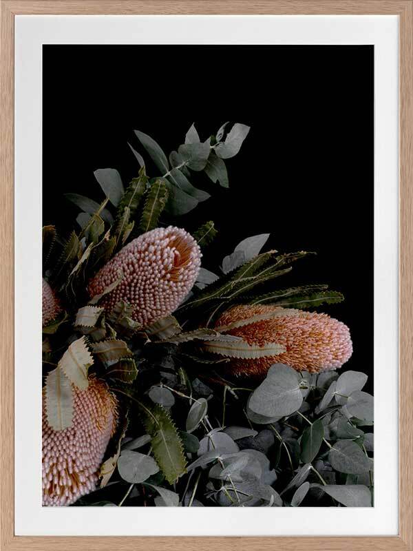 Botany Framed Art Print