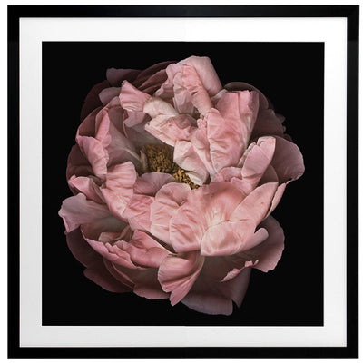 Hopeful I Framed Art Print