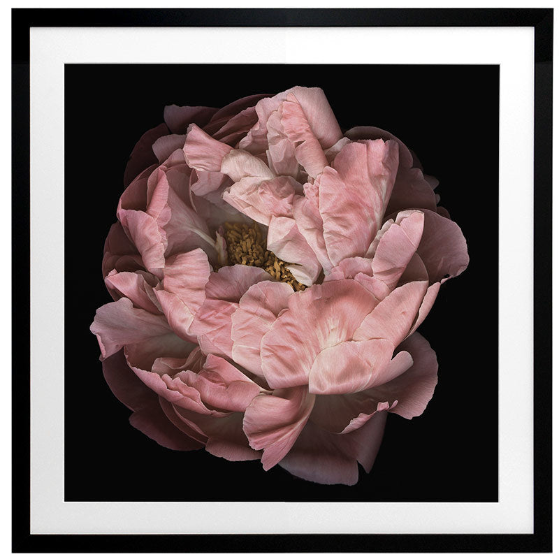 Hopeful I Framed Art Print