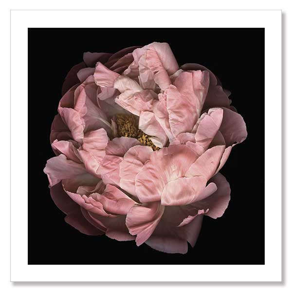 Hopeful I Unframed Art Print