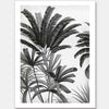 Dominica I Unframed Art Print
