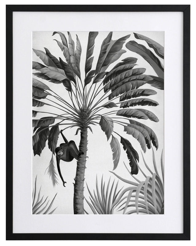 Dominica II Framed Art Print