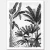 Dominica III Unframed Art Print