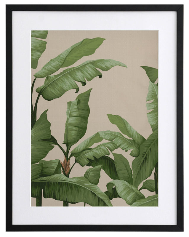 Panama I Framed Art Print