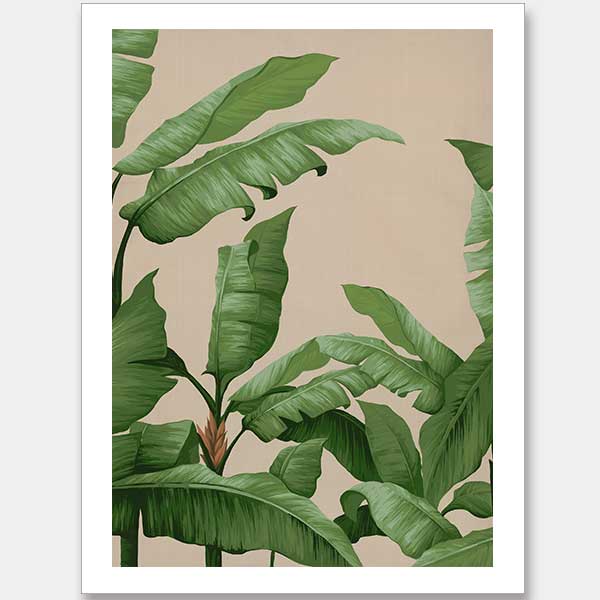 Panama I Unframed Art Print