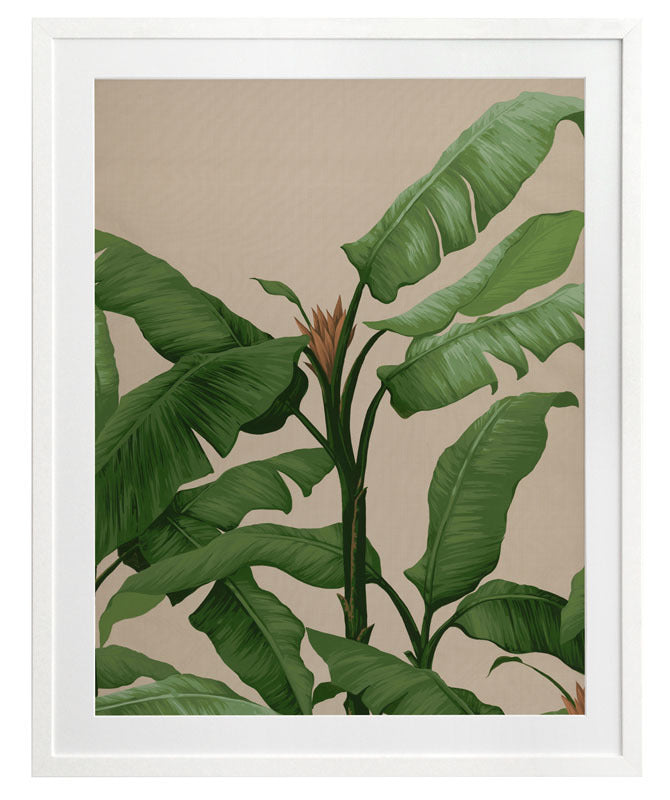 Panama II Framed Art Print