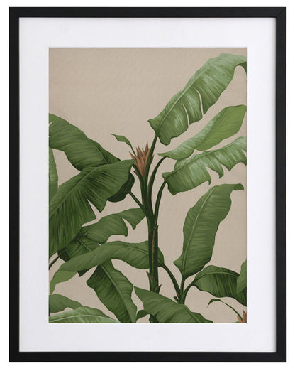 Panama II Framed Art Print