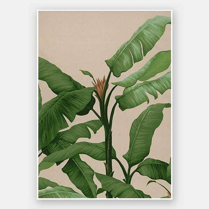 Panama II Unframed Art Print