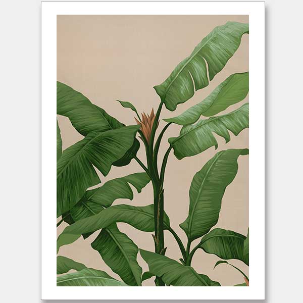Panama II Unframed Art Print