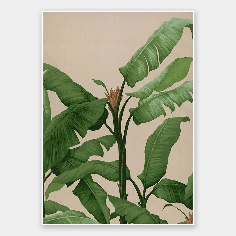 Panama II Unframed Art Print