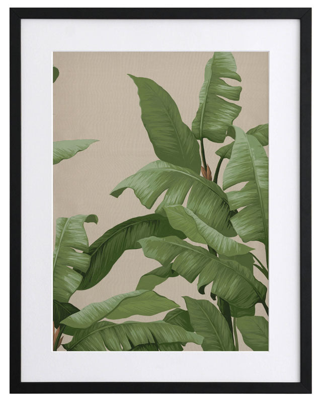 Panama III Framed Art Print