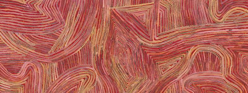 Mina Mina Jukurrpa IV Canvas Art Print