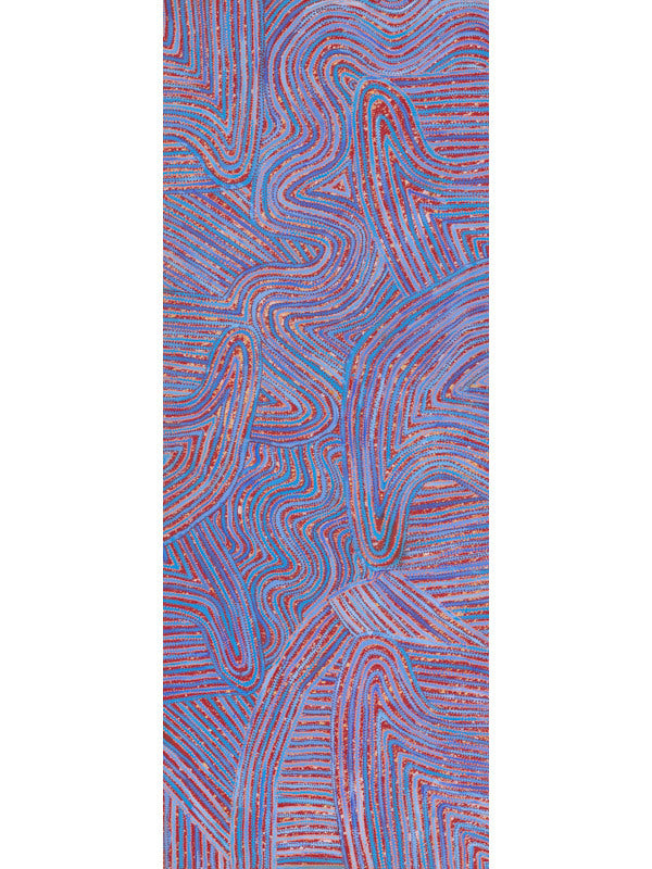 Mina Mina Jukurrpa V Canvas Art Print