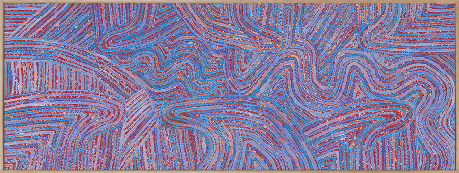 Mina Mina Jukurrpa V Canvas Art Print