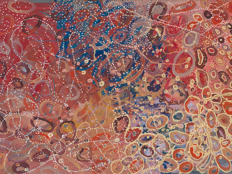 Janganpa Jukurrpa Canvas Art Print