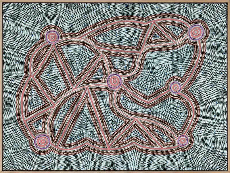 Ngapa Jukurrpa III Pink Canvas Art Print