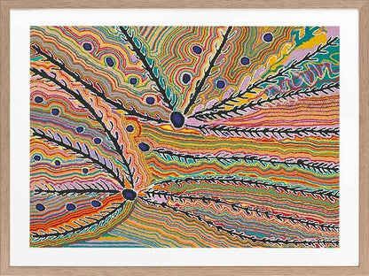 Wakirlpirri Jukurrpa Multicolour Framed Art Print