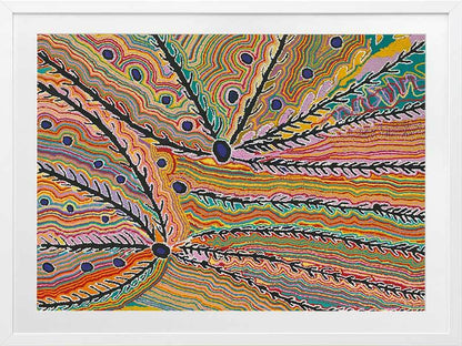 Wakirlpirri Jukurrpa Multicolour Framed Art Print