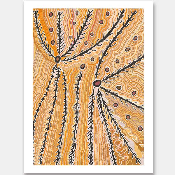 Wakirlpirri Jukurrpa Ochre Unframed Art Print