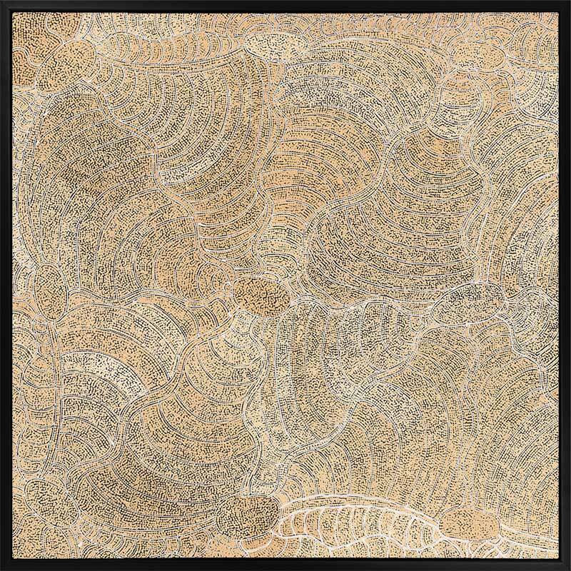 Janganpa Jukurrpa II Canvas Art Print