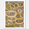Yankirri Jukurrpa IV Multicolour Unframed Art Print