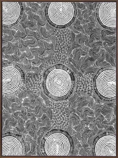 Pikilyi Jukurrpa Grey Canvas Art Print