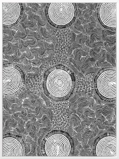 Pikilyi Jukurrpa Grey Canvas Art Print