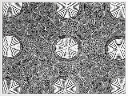 Pikilyi Jukurrpa Grey Canvas Art Print