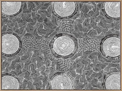 Pikilyi Jukurrpa Grey Canvas Art Print