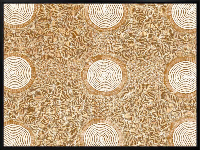 Pikilyi Jukurrpa Mustard Canvas Art Print