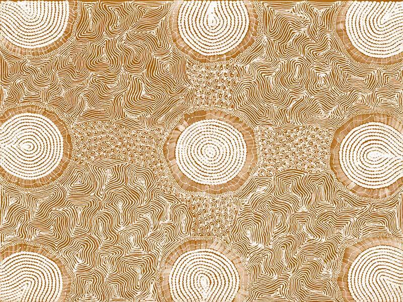 Pikilyi Jukurrpa Mustard Canvas Art Print