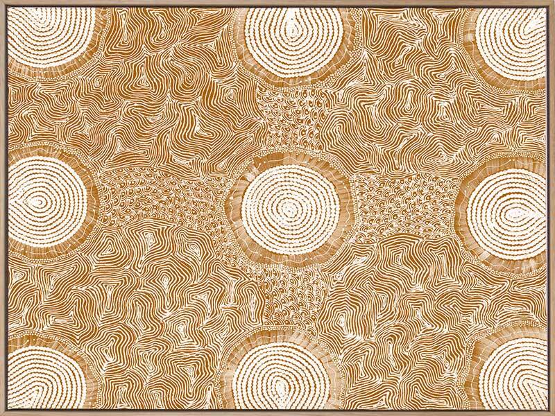 Pikilyi Jukurrpa Mustard Canvas Art Print