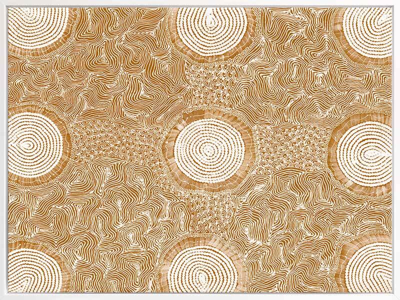 Pikilyi Jukurrpa Mustard Canvas Art Print