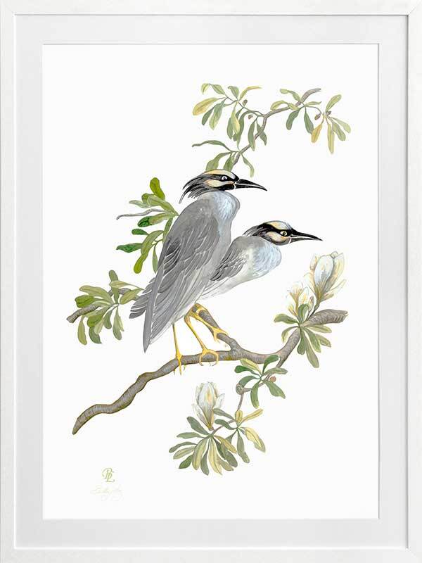 Indian Cranes Framed Art Print