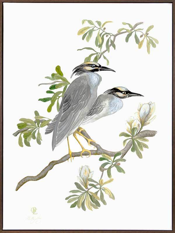 Indian Cranes Canvas Art Print