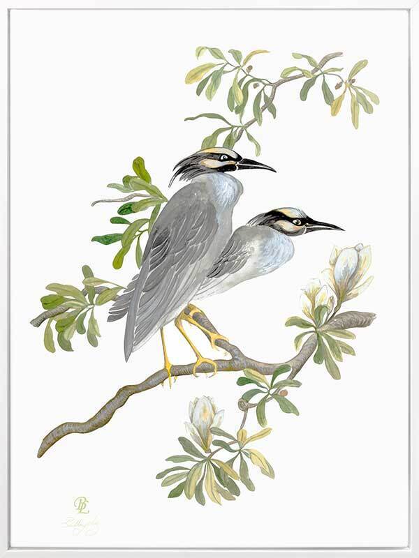 Indian Cranes Canvas Art Print