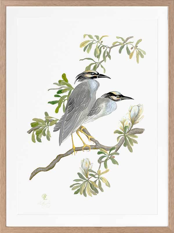 Indian Cranes Framed Art Print