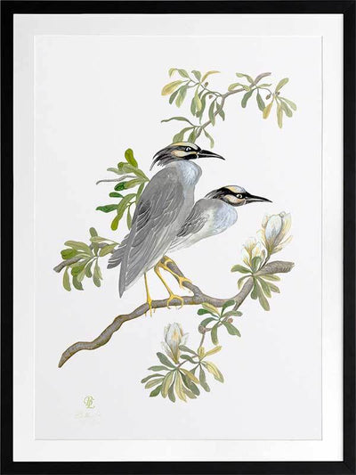 Indian Cranes Framed Art Print