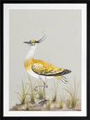 Golden Plover Framed Art Print