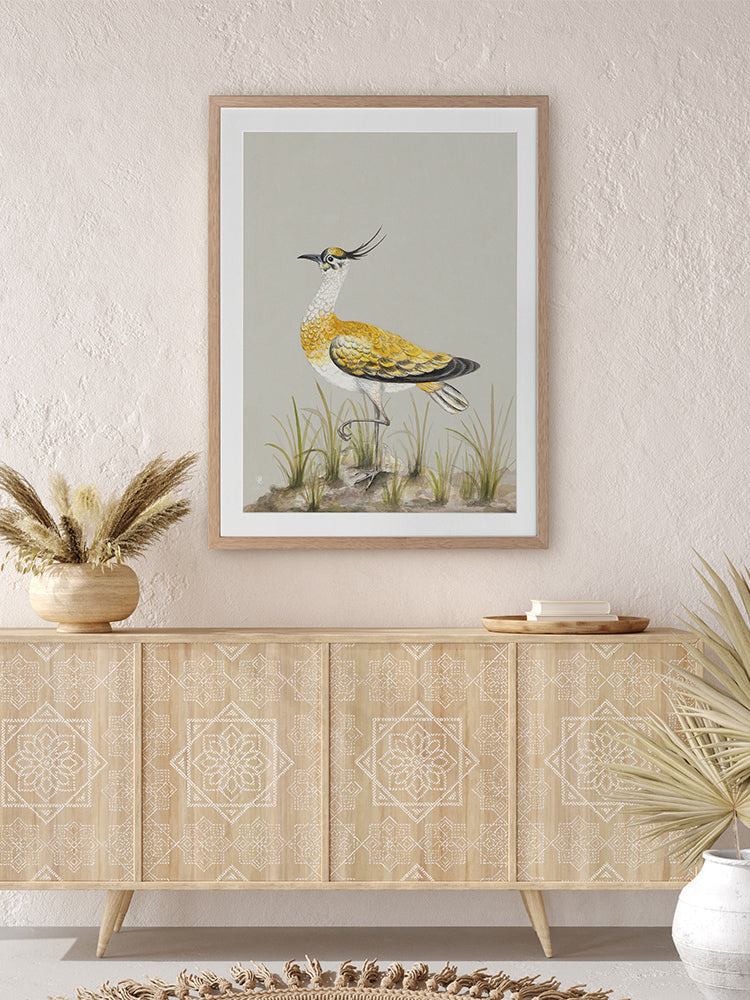 Golden Plover Framed Art Print | Lifestyle
