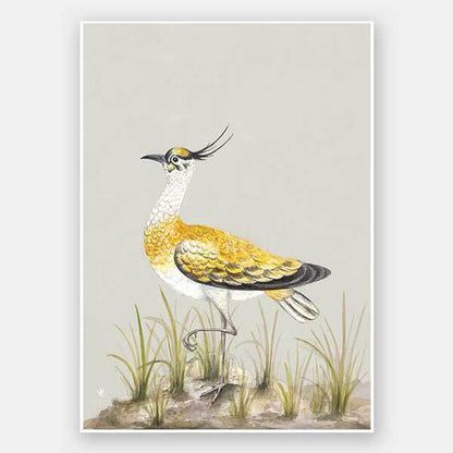 Golden Plover Unframed Art Print