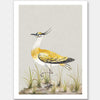 Golden Plover Unframed Art Print