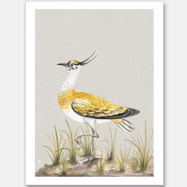 Golden Plover Unframed Art Print
