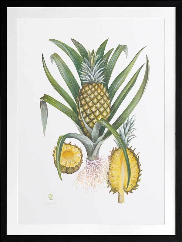 Pineapples Framed Art Print