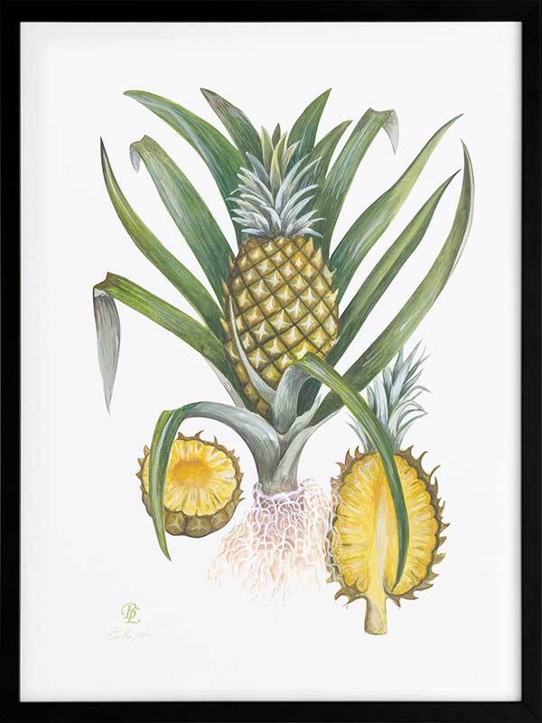 Pineapples Framed Art Print